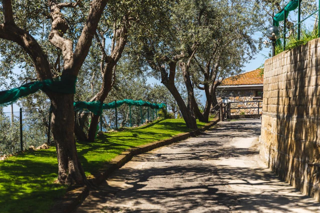 Bed and Breakfast Casa Clementina Marciano Massa Lubrense Exteriér fotografie