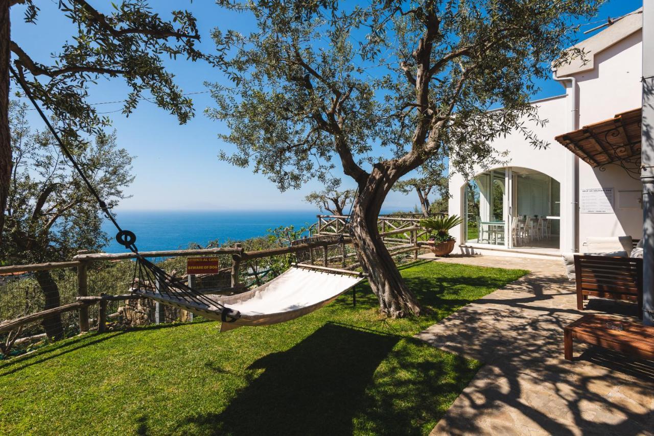 Bed and Breakfast Casa Clementina Marciano Massa Lubrense Exteriér fotografie