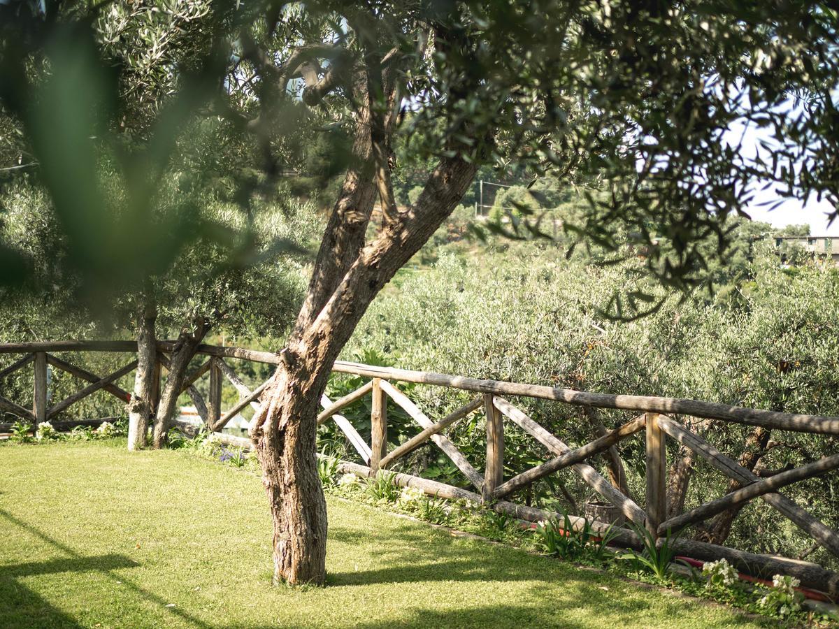 Bed and Breakfast Casa Clementina Marciano Massa Lubrense Exteriér fotografie